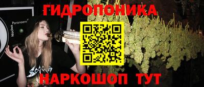 бошки Ноябрьск