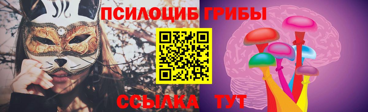 Бердск  Псилоцибиновые грибы GOLDEN TEACHER  Вход с VPN 
